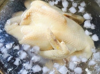 step6: 準備冰和一大鍋飲用水，將雞整隻浸入冰水中約10分鐘，直至冰塊全部溶化。