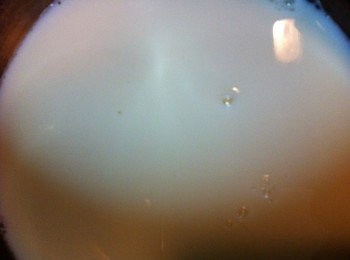 step2: 放一碗奶在煲內，用中慢火加熱，奶要熱至少許冒煙，但絕對不要滾，奶一滾就撞不成了 。奶一熱，關火，加一茶匙糖，拌勻。