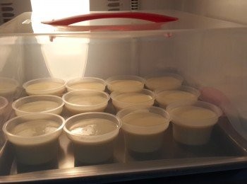 step8: 放入雪櫃普通格雪至凝固（最好雪過夜）