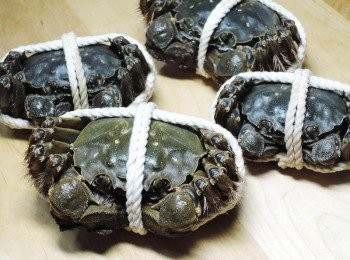 step1: 螃蟹拿回家後還是要再清洗一次