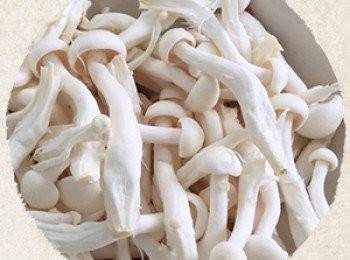 step4: 雪白菇一朵一朵剝開洗淨備用