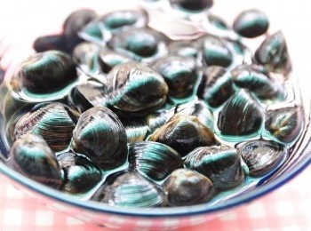 step9: 黑蜆含有豐富的蛋白質、鈣、磷、鈉、鉀、少量牛磺酸、維生素等成分.. 本草綱目記載:蜆，主治開胃、壓丹石藥毒、去爆熱、明目、利小便、解酒毒及解濕毒、治目黃，為護肝食譜解毒效能，比黃金蜆營養多一倍，在日本銷路相當好!