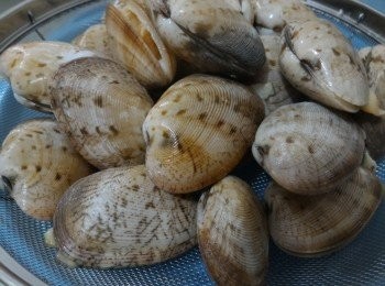 step1: 大蜆吐沙及洗刷乾淨。