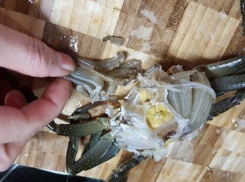 step11: 再搣去兩邊肺部份