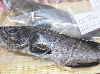 step1: 野生石斑魚肉質鮮甜好吃，煮魚湯、清蒸、紅燒等方式料理，皆可吃到牠的鮮甜美味喔！ 好吃的魚兒在這裡-->http://www.enjoyfresh.com.tw/shopping_cont.php?Key=321&uID=1&cID=32
