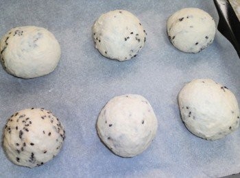 step6: 一一滾圓，縮口朝下，直接放於鋪了烘焙紙的烤盤上， 麵團表面噴點水，放溫暖處進行最後發酵。 (發酵時間不一定，可肉眼觀察，當麵團約變為原來1倍大即可)