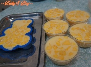 step6: 然後倒入容器~