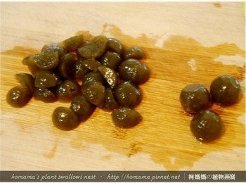 step4: 將黑木耳QQ圓自容器中取出後，再分切成1/4圓的大小。