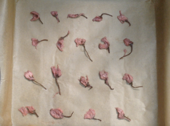 step2: 隔水後逐朵放在已鋪上烘焙紙的模具上
再用廚房紙印走水份