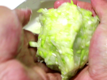 step8: 瓠瓜殺青脫水後, 用手擠壓掉水份, 不需太乾。