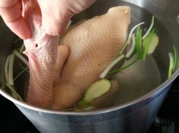 step2: 鮮雞去除內臟及洗淨,先煮滾一鍋水(水要可以蓋過隻雞做標準)加入一條蔥段及薑片,先將雞浸入滾水中約20秒