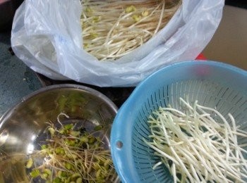 step3: 大豆芽菜去掉頭的豆及尾根部份備用