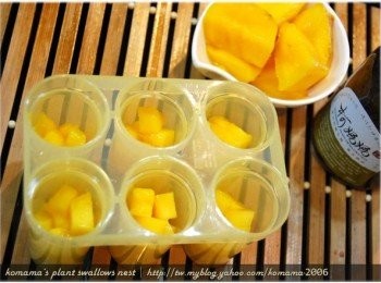 step2: 先將芒果分切成小塊狀後，直接放入冰棒模的製冰盒中。