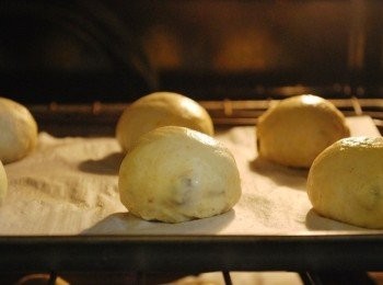 step11: 於表面噴水，鬆鬆地蓋上濕布或保鮮膜，於溫暖潮濕的環境中發酵至兩倍大（約1小時）