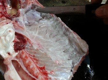 step1: 鯇魚洗淨,刮去肚內黑膜及魚鱗,洗淨備用.