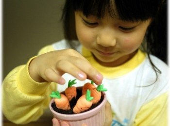 step12: 這盆好玩、新奇、可食，送禮自己都合適