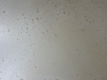 step4: 將所有奶倒入鍋中，用慢火煮至微滾(冒少許白煙)，再加入淡忌廉、魚膠片溶液及糖煮至完全溶化。