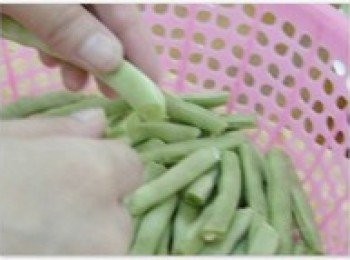 step2: 去兩頭，把筋撕掉