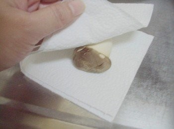 step3: 3.現在菇類大都有機摘栽種ˊ但杏鮑菇還是要沖洗一下ˊ 沖洗後的菇類也一定要擦乾多餘水份ˊ才不會影響口感哦~ 然後處理成和魚塊同等大小(備用)