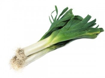 step16: 這是韭蔥Leek