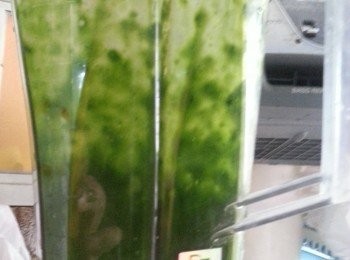 step2: 菠菜洗淨切粒,加少許水用攪拌機攪碎成汁(不用太多水,攪拌機能夠攪到就可以)