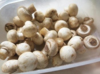 step1: 蘑菇清洗乾淨.用紙巾吸乾