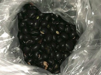 step1: 首烏洗淨，泡一泡，黑豆洗淨晾乾，米洗淨備用