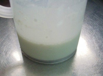 step2: 步驟2.<span class="group_1">材料</span>除雞蛋外全部拌勻ˊ讓其靜置10~20分鐘