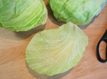 step5: 用廚房剪刀將生菜葉修成碟狀圓形，紅洋蔥切絲，罐頭玉米粒瀝乾