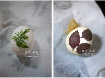 step2: 1.把葉子貼放在蛋殼上 2.接著用絲櫗包緊，再用橡皮筋綁住