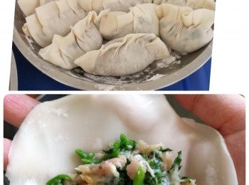 step5: 餃子可跟自己喜愛的包法😍😍😍