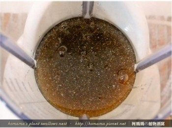 step2: 先將黑木耳養生露取代水，直接倒入果汁機中。