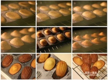 step9: <span class="group_1">馬德蓮</span>送進預熱至170度C(約338度F)的烤箱中，烘烤約10~12分鐘，牙籤插入中心提起不沾黏，就可出爐，趁熱脫模。