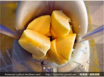 step2: 先把蘋果用清水洗淨，削除外皮後，再分切成適當的大小，放入果汁機中。