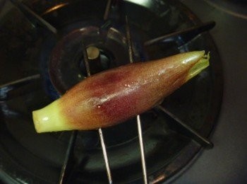 step1: 將茗荷洗淨灑鹽抓一抓靜置30分鐘.將金串穿過步驟1的茗荷,在直火上烤兩面.表面上色就好.待降溫對半切.