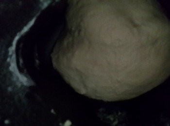 step1: 將所有材料用麵包機揉成麵糰~靜置1小時發酵成兩倍大