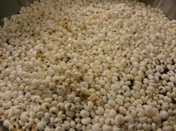 step2: 預備水份加薏米同煲,先大火煲15分鐘轉細火煲35分鐘,下冰糖轉大火滾10分鐘。