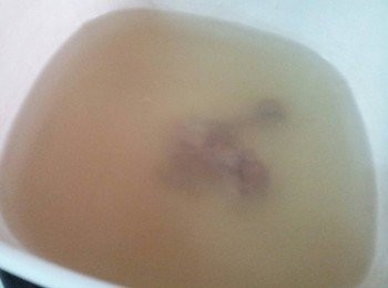 step3: 高湯倒入鍋子中再加入二罐清水 , 再加燒鴨骨頭加入同煮至大滾 , 再轉小火煮30分鐘 , 然後把骨頭撈起丟掉