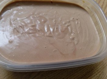 step4: 然后放进容器里，放进freezer里过一晚就可以了。