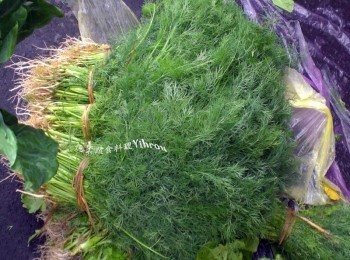 step1: 茴香菜洗淨切末後灑鹽靜置，待出來水將水擠出。