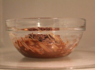 step2: 取一玻璃碗, 將巧克力微波加熱融化成為巧克力醬