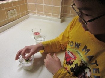 step5: 最後放薄荷葉裝飾即可