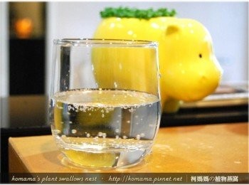 step4: 先將氣泡水倒入玻璃杯中至1/2滿。