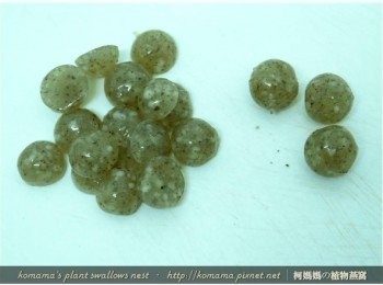 step4: 黑木耳QQ圓自容器倒出後，直接對切成1/2圓的大小。