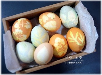 step5: 拆下絲櫗及葉子後，各種不同漂亮的圖案就出現啦