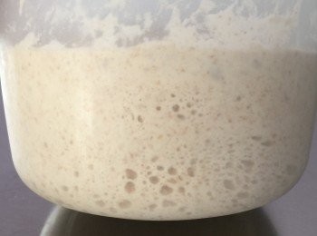 step1: 所有材料混合，室溫發酵一倍大，雪20小時。