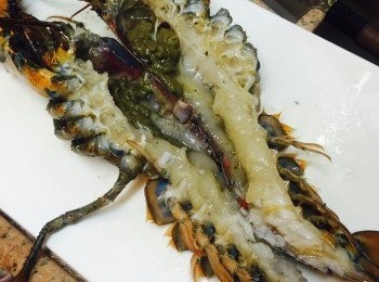 step1: 焗爐預熱160度。波士頓龍蝦洗淨後開邊，並除下龍蝦鉗上的橡筋（如有），用刀背在鉗上敲兩至三刀至微開。