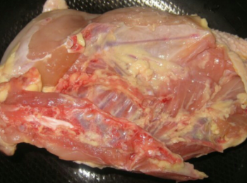 step4: 用薑鋪滿電飯煲底，落雞，雞皮向下