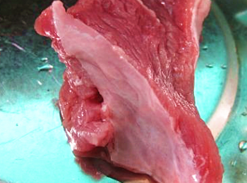 step3: 豬瘦肉洗淨切片，下鍋飛水，祛除血水