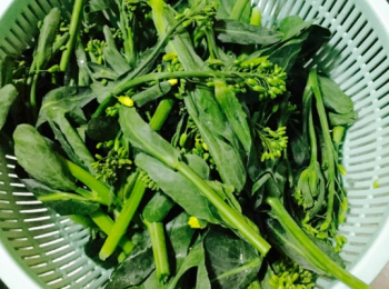 step1: 芥藍，洗淨，切段。